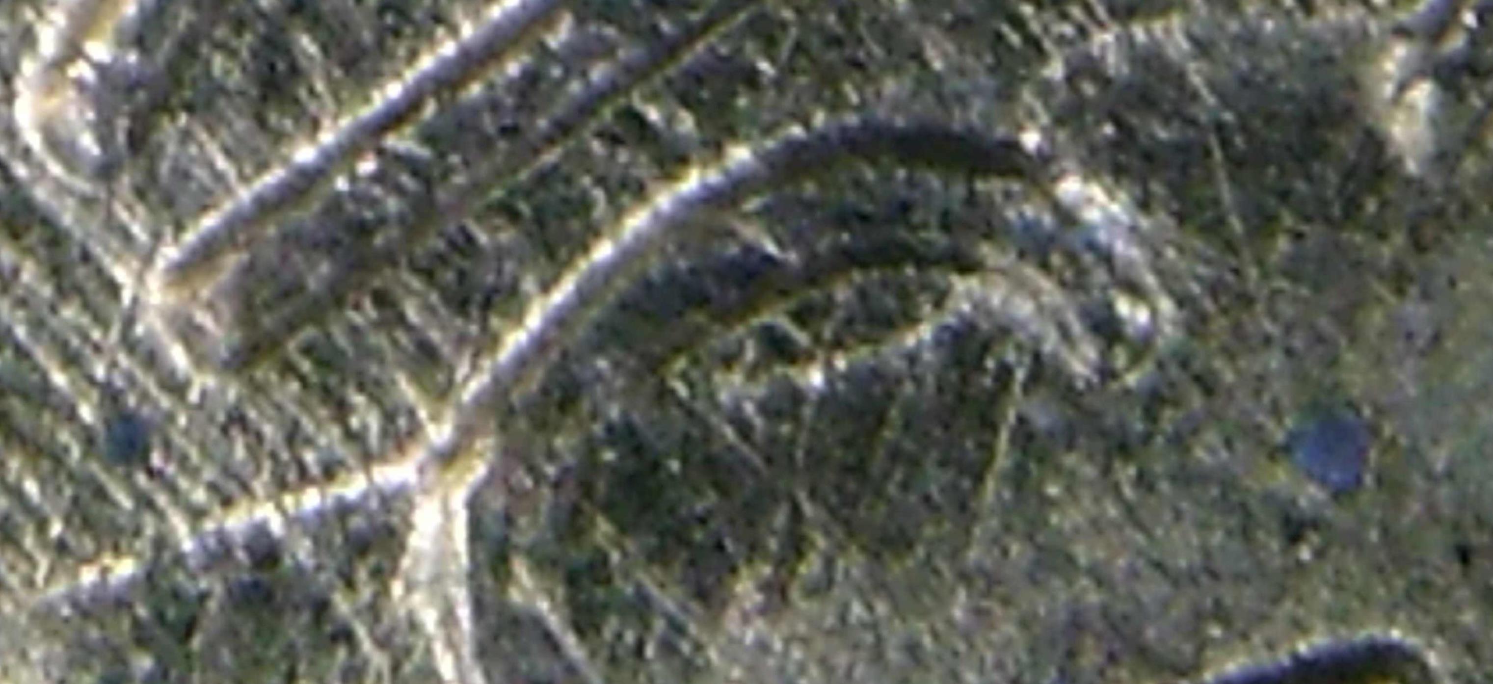 1958-D-Wheat-Back--Struck-Through?